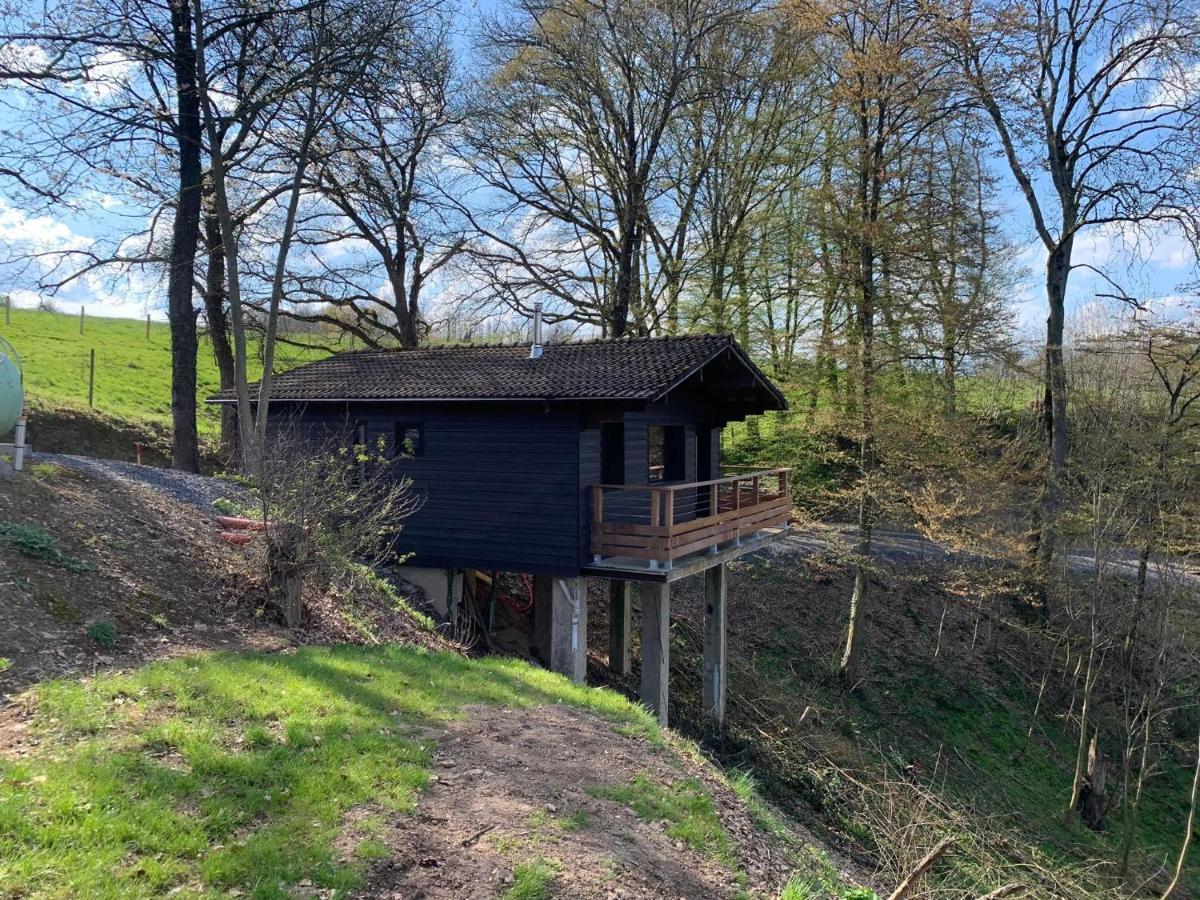 Gites Douillets : Chalet Sur Pilotis Houyet Exteriör bild